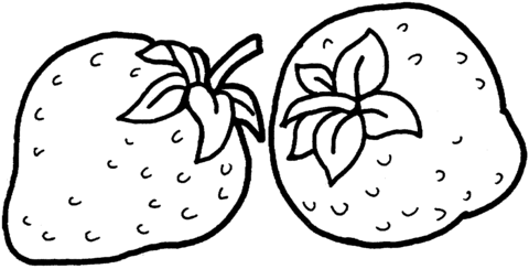 Two Strawberries Coloring Page